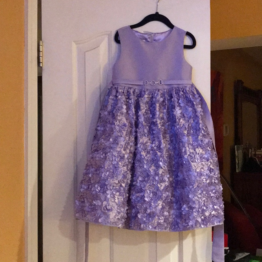 Gorgeous American Princess dress